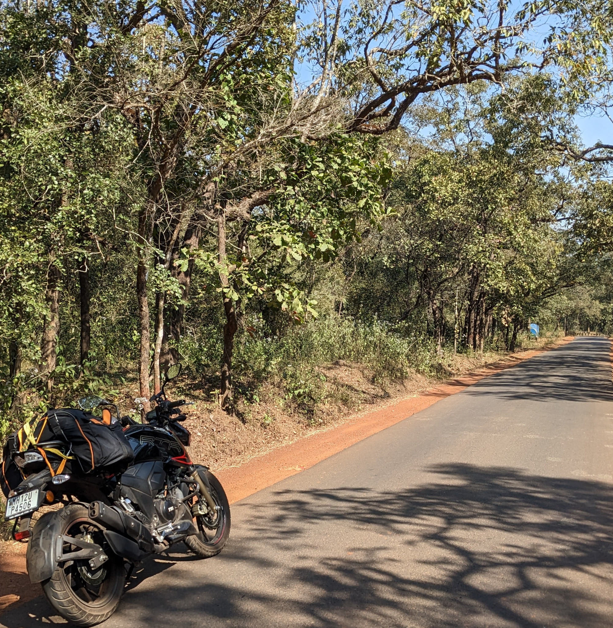 road through mollem national partk