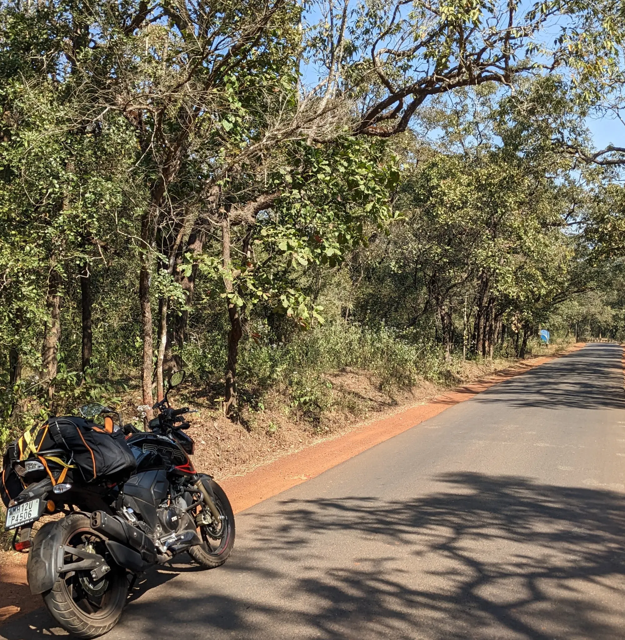 road through mollem national partk