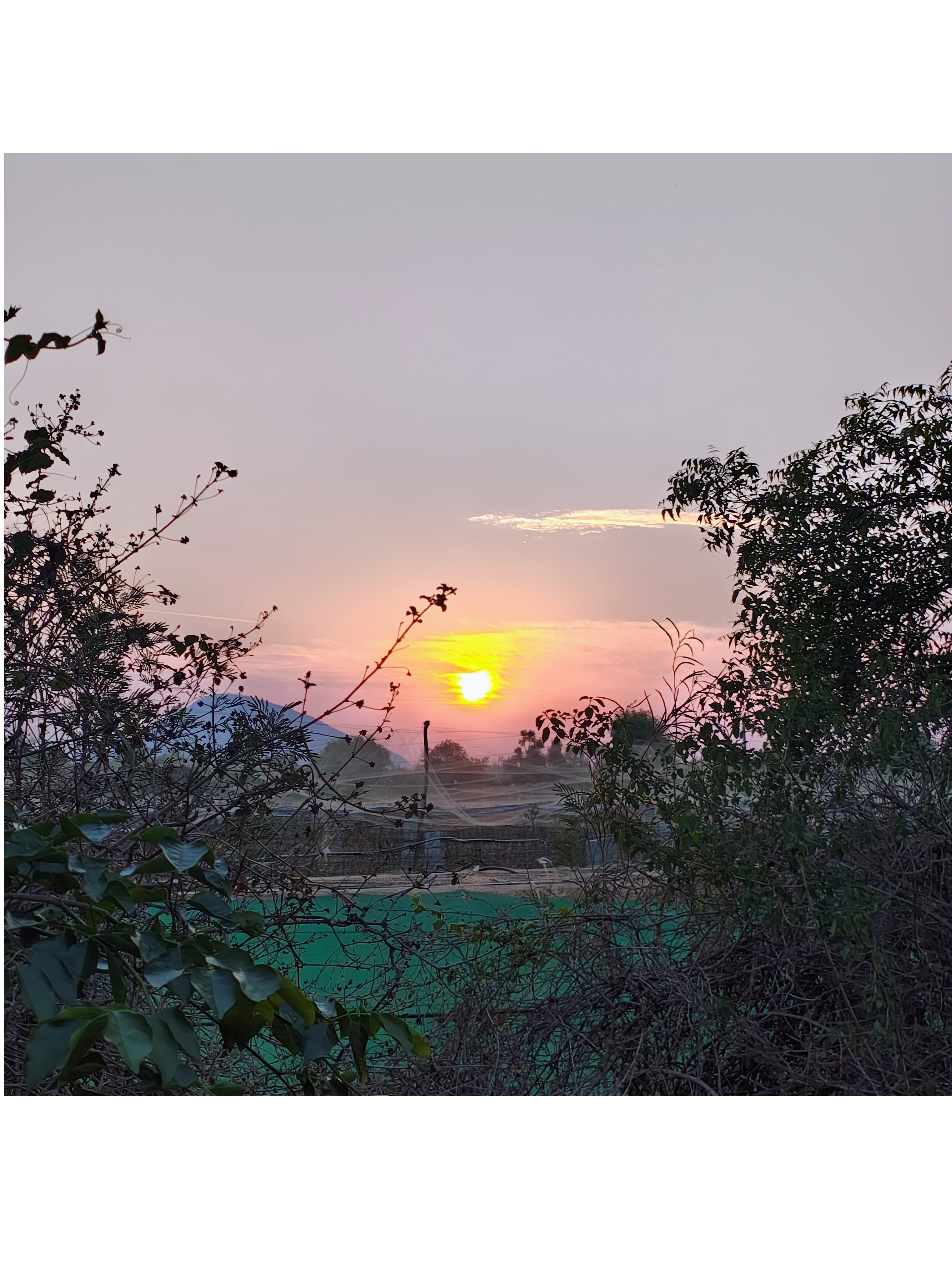 The sunrise