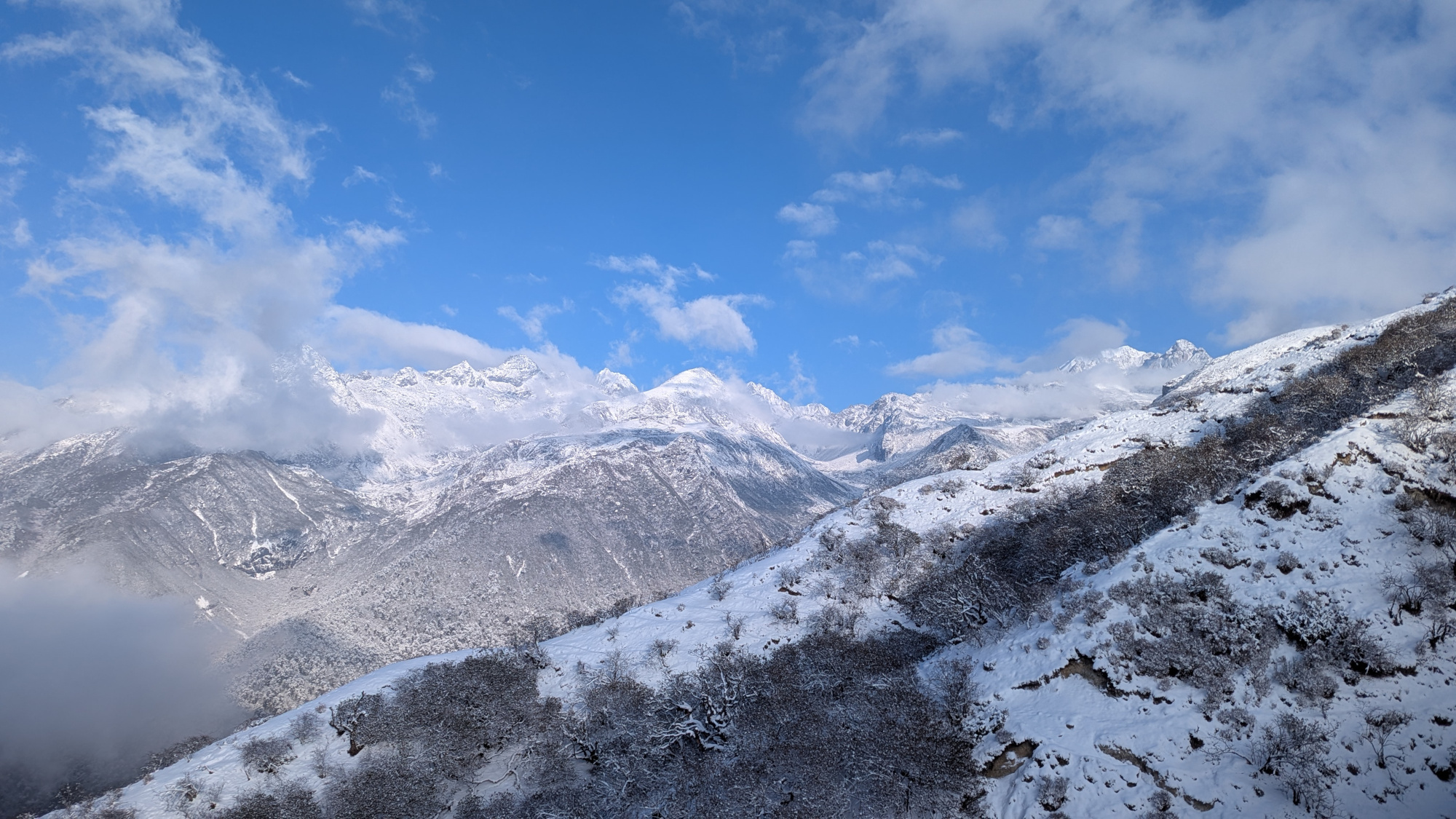 BMC Dzongri to Basecamp