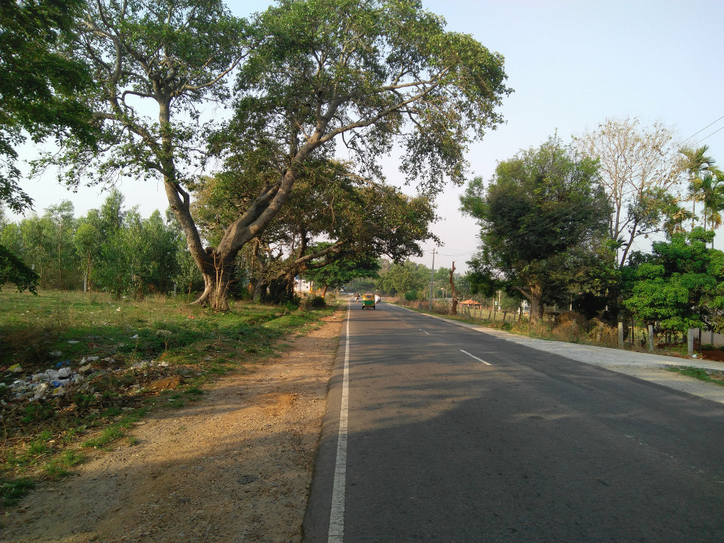 somewhere on Magdi Road