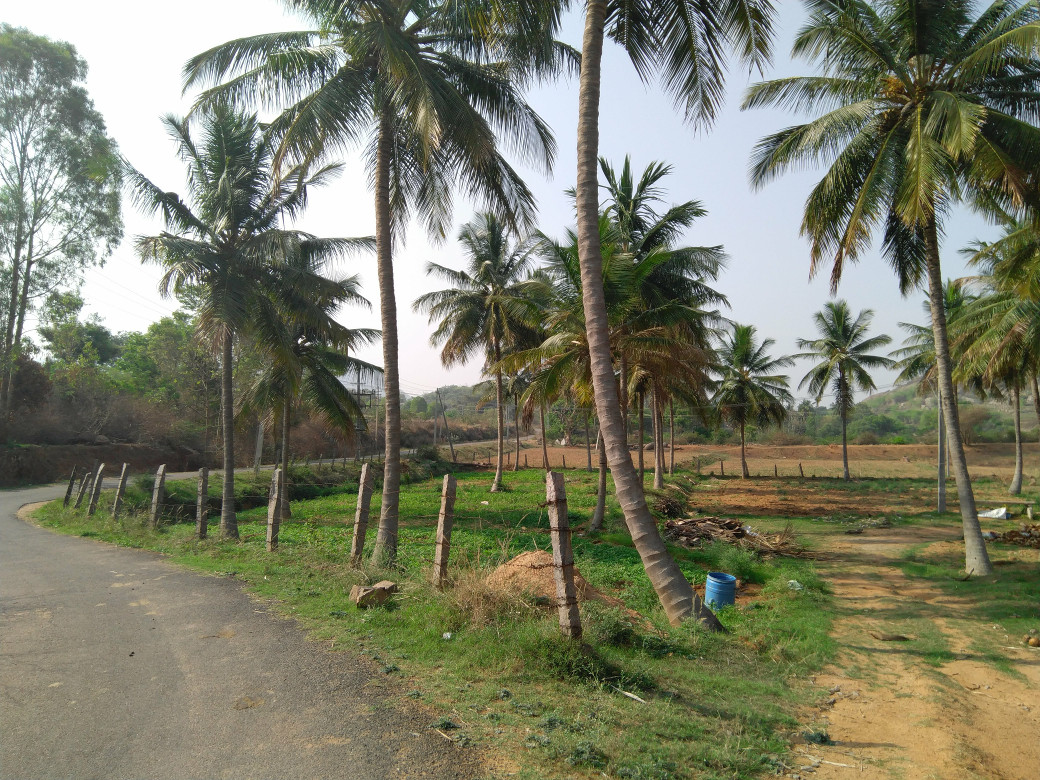 somewhere on Magdi Road