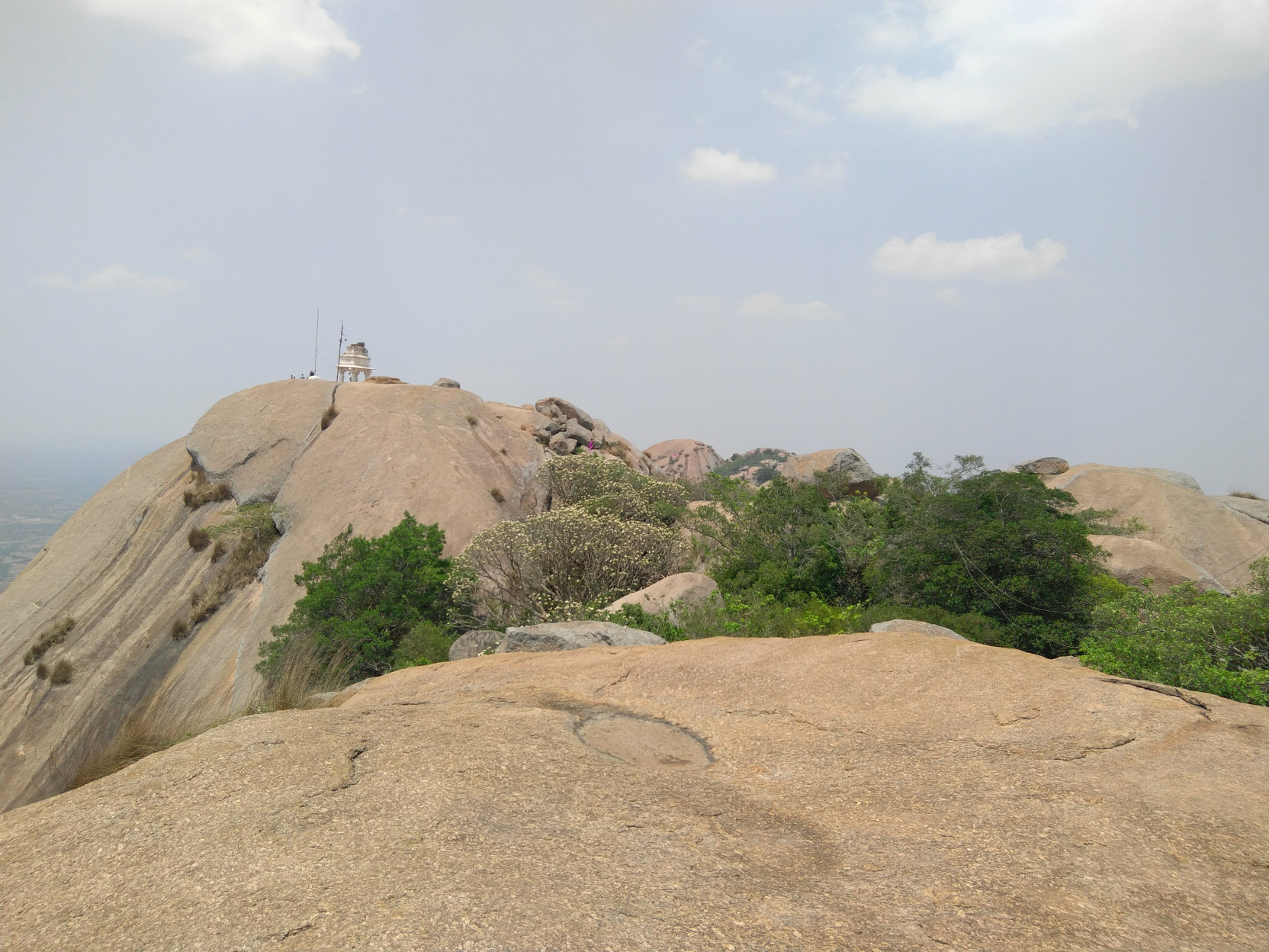 on the hill